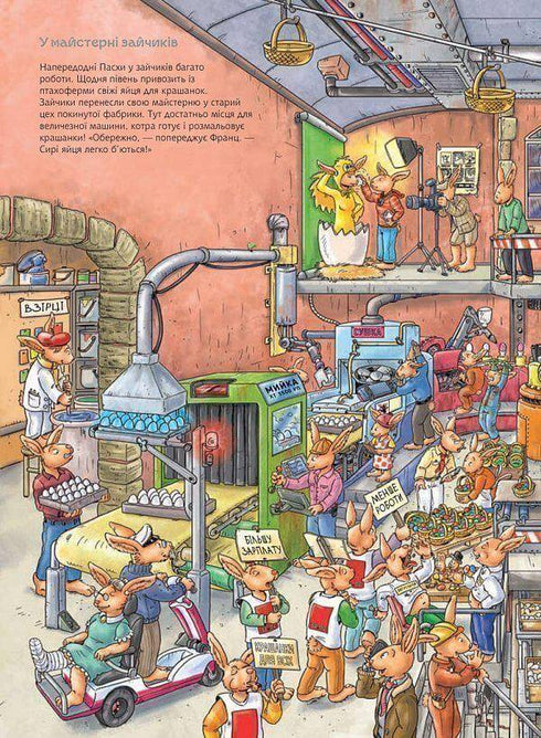 Bunny Franz. Big Look-and-Find Book